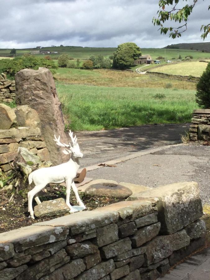 Cosy Rural Cottage Peak District, Pets Welcome Hollinsclough エクステリア 写真